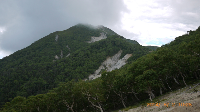 c0133096_22315512.jpg