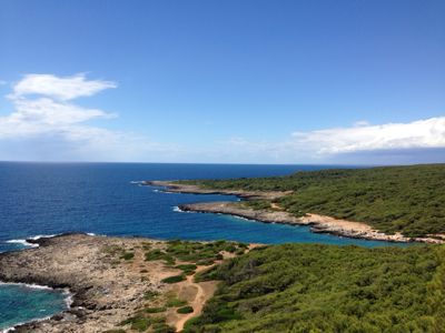 プーリアでトレッキング&海水浴_f0106597_3523458.jpg