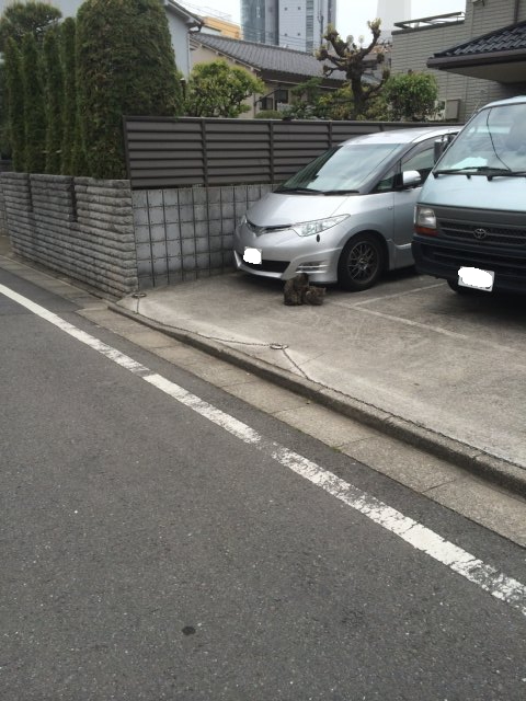b0017899_21462650.jpg