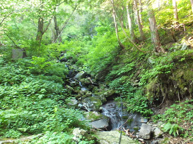 a0271502_1250667.jpg
