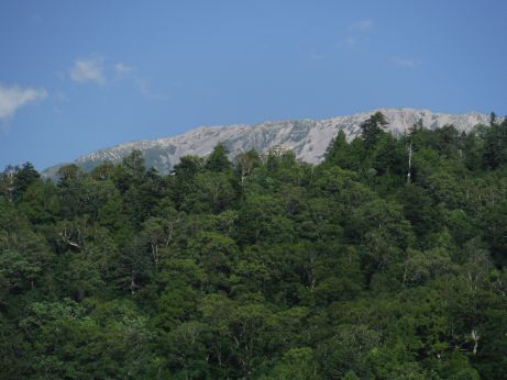 b0172805_23263914.jpg