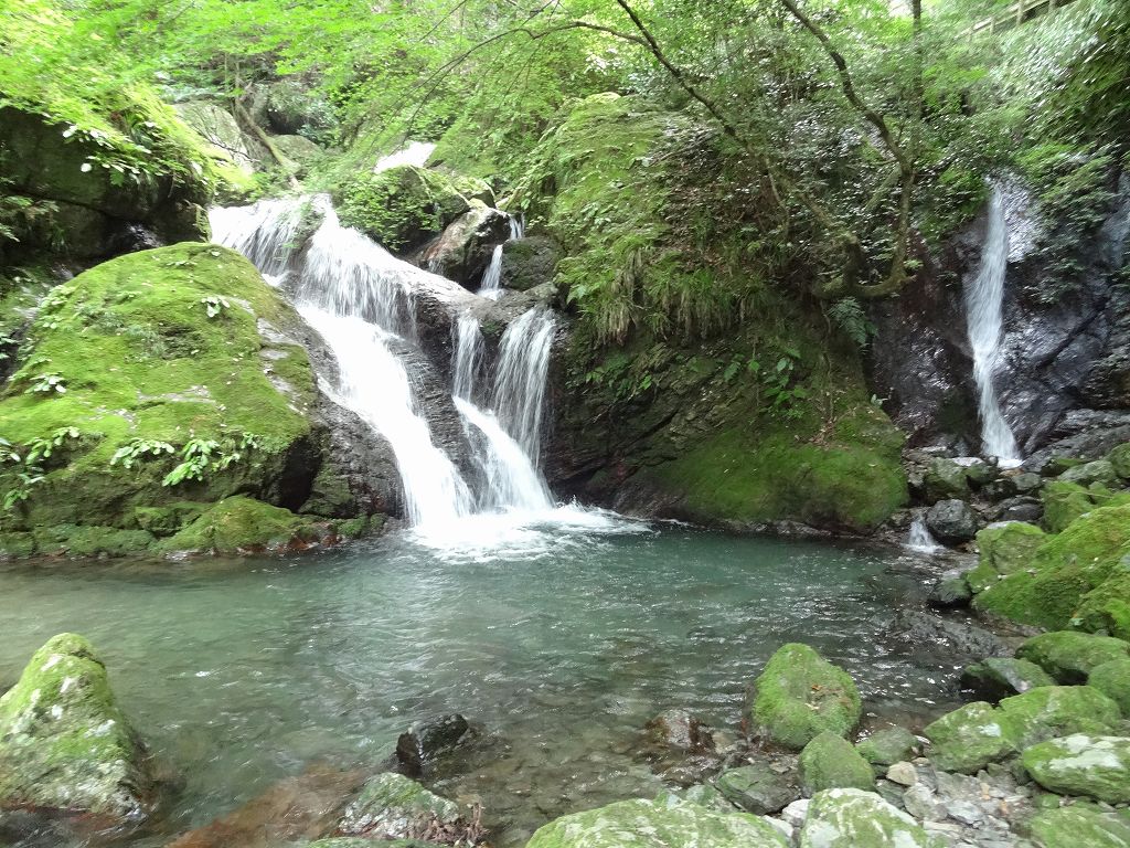 日本の滝100選　雨乞の滝　ファガスの森　岳人の森_b0124306_223304.jpg