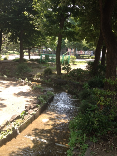 水遊び＠大田区　徳持公園 4歳児編_b0142320_13314395.png