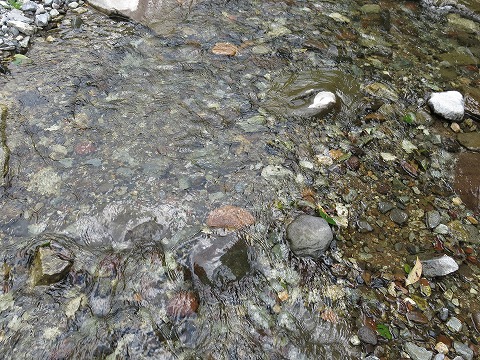 d0227723_22470191.jpg