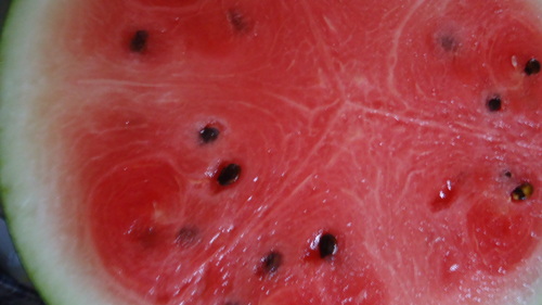 b0057924_13562430.jpg