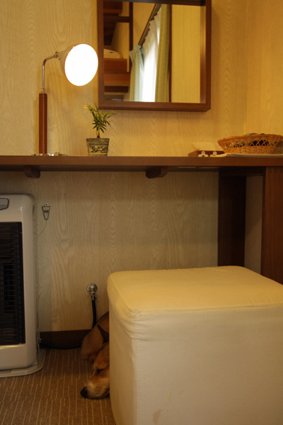 e0071225_124580.jpg