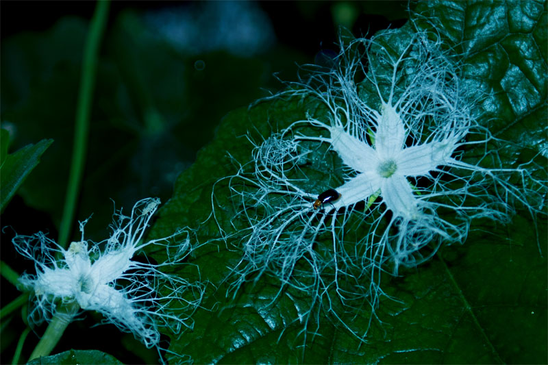 d0029829_8492380.jpg