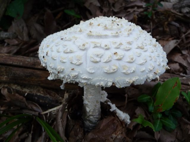 e0121329_2221768.jpg