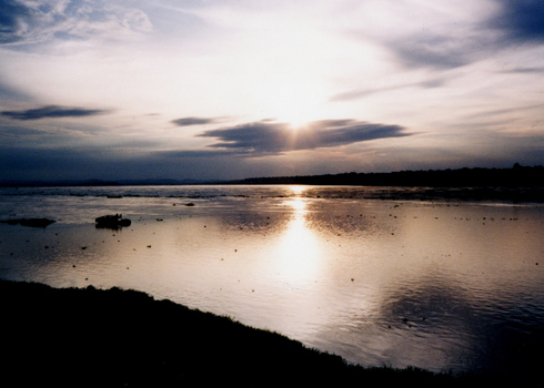 CONGO 1996 (Part 3)_d0010432_1392274.jpg