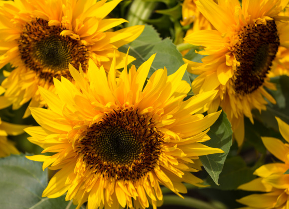 b0321336_00080478.jpg
