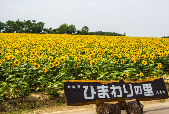 b0321336_00362589.jpg