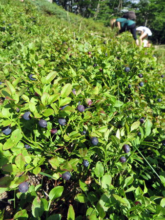 f0234936_21573340.jpg