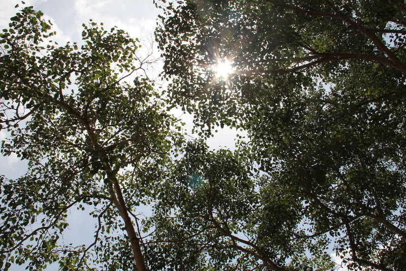 c0011649_1294025.jpg