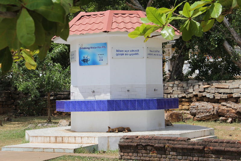 c0011649_1352611.jpg