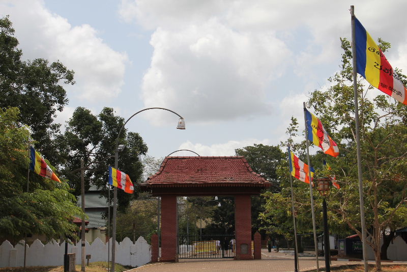 c0011649_5411966.jpg