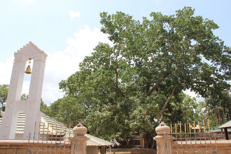 c0011649_610371.jpg