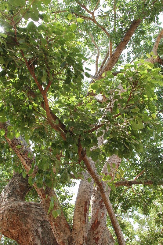 c0011649_6151915.jpg