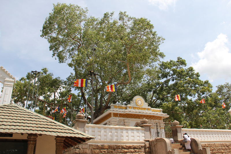 c0011649_621721.jpg