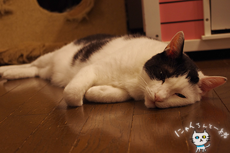暗に責める_e0031853_1345651.jpg