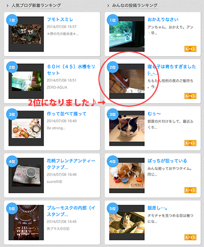 暗に責める_e0031853_13475558.jpg