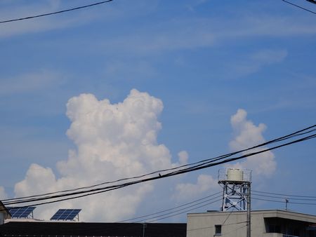 e0140354_14563457.jpg