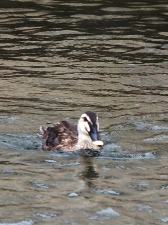 e0028056_14768.jpg