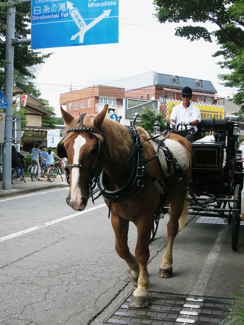f0236260_2241382.jpg