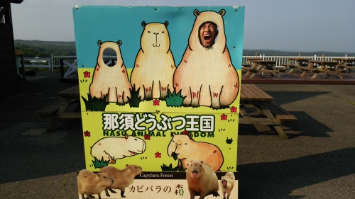 那須動物王国！_a0044162_17344169.jpg