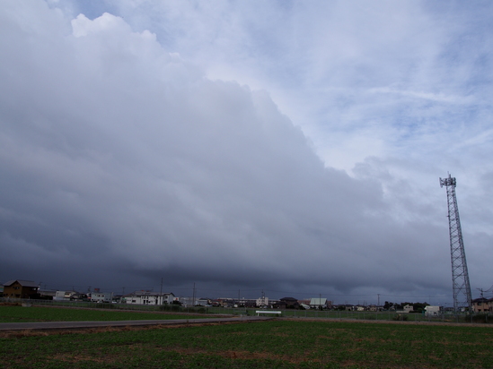 b0194267_910867.jpg