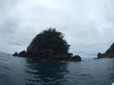 e0184067_1921991.jpg