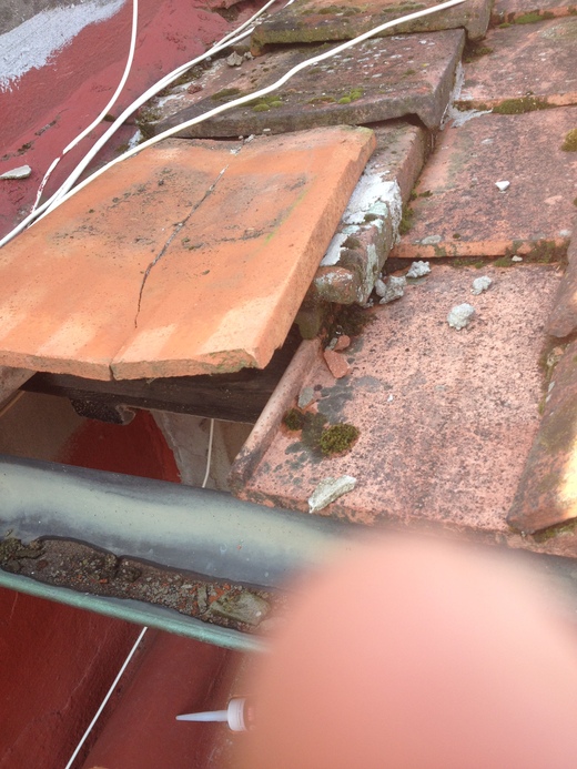 04/08/2014 人の屋根に勝手にアンテナ置いたの誰だ!?_a0136671_23522917.jpg
