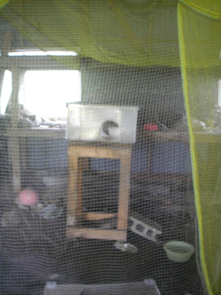 b0192980_0354285.jpg
