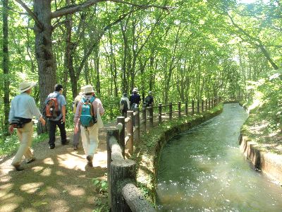 1日限定の川流れ_a0096989_14213871.jpg