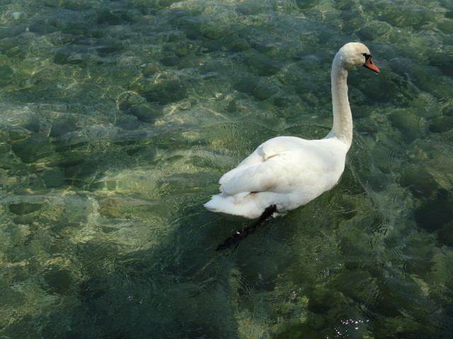 f0100593_18014163.jpg