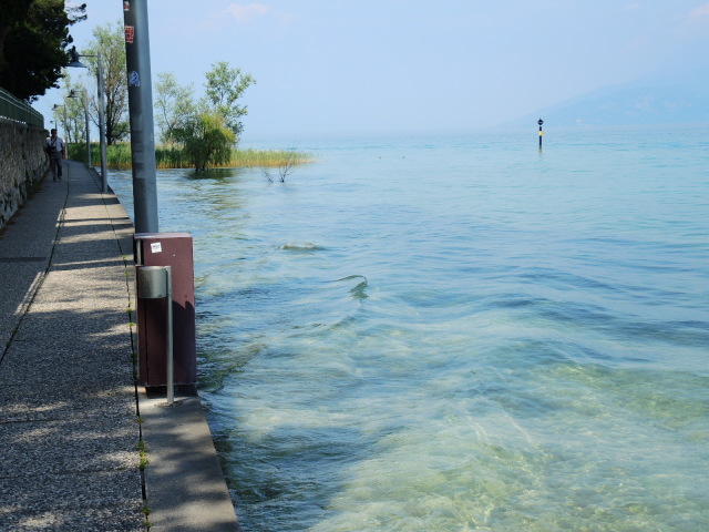 f0100593_18014514.jpg