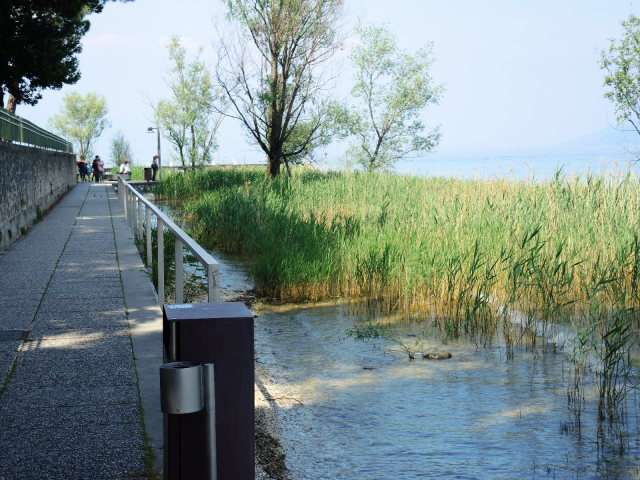 f0100593_18014930.jpg
