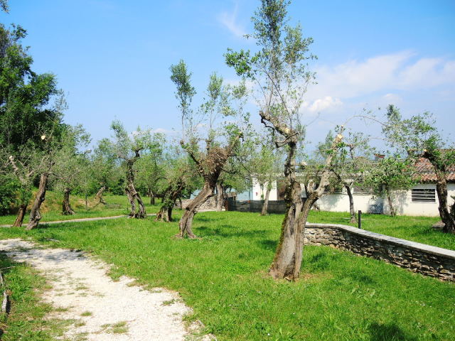 f0100593_18093294.jpg