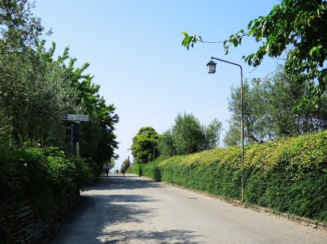 f0100593_18095455.jpg