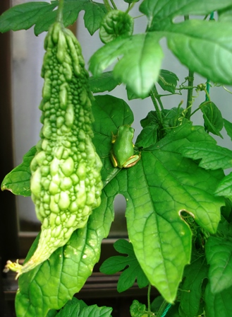 f0212993_2146221.jpg