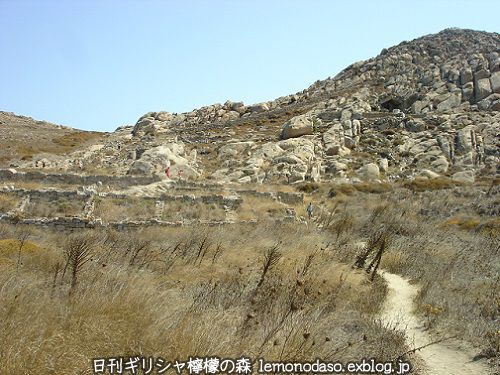 c0010496_20341896.jpg