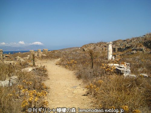 ディロス島のシリアの神々の聖域　アタルガティス女神とハダド神_c0010496_23121220.jpg