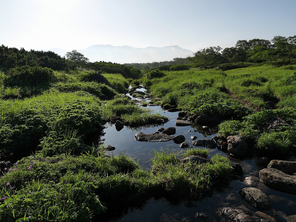 五色岳と忠別岳、8月2日－五色岳編－_f0138096_182650.jpg