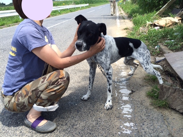 新しいご家族の元へ・・お手伝い②_f0242002_20561335.jpg