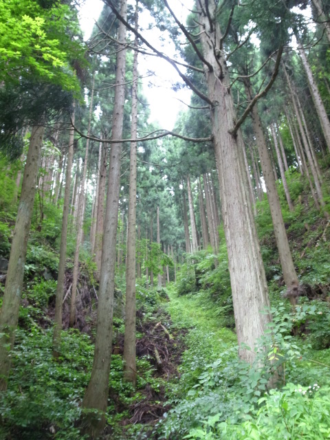 f0197703_10325920.jpg