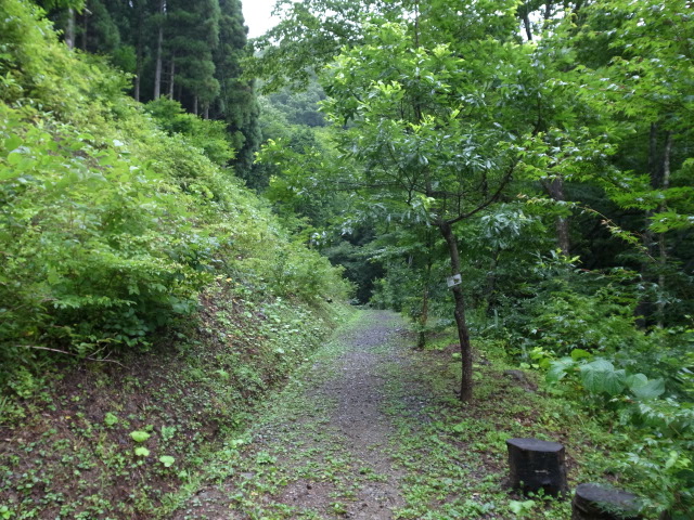 f0197703_10361815.jpg