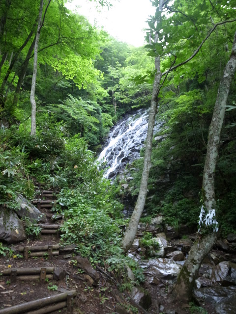 f0197703_10365978.jpg
