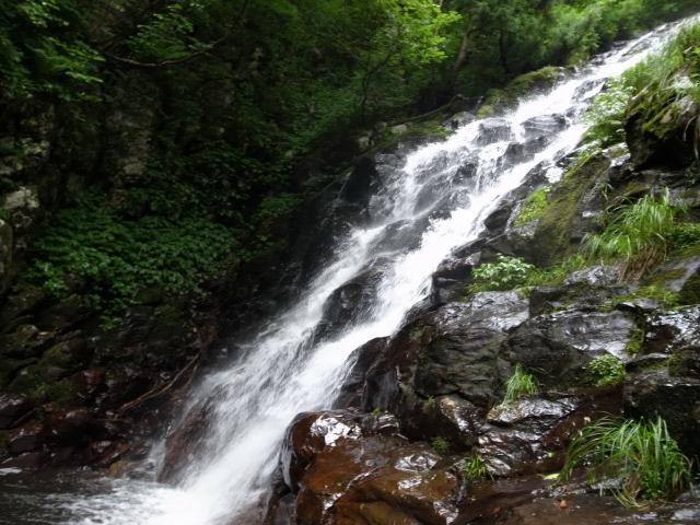 f0197703_10405176.jpg