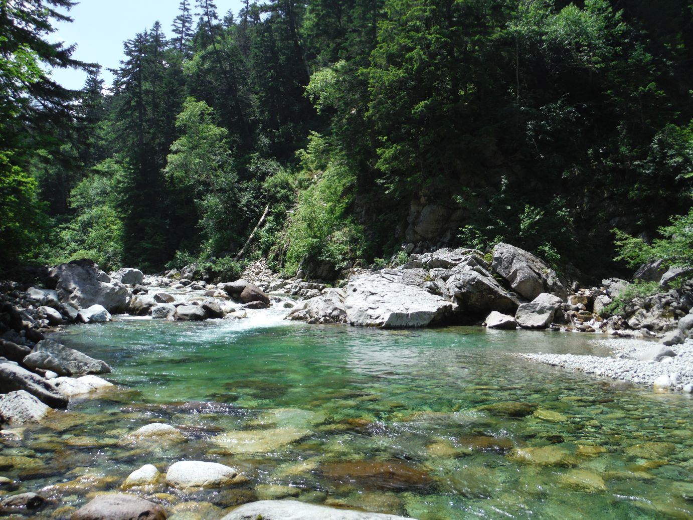 b0172805_8491815.jpg