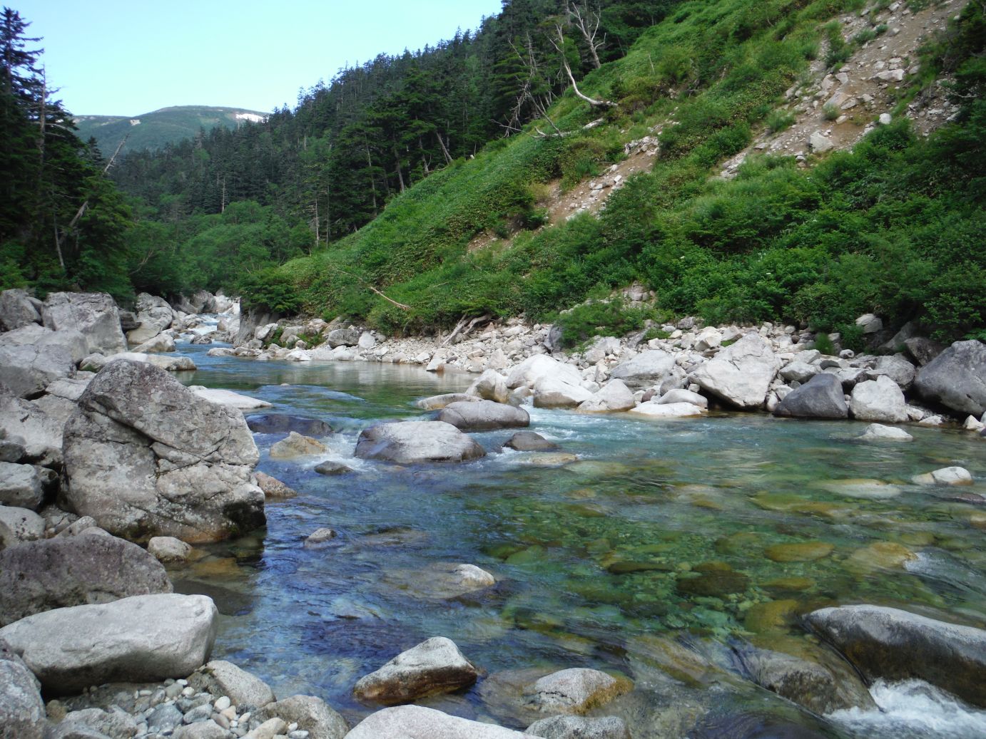 b0172805_936454.jpg