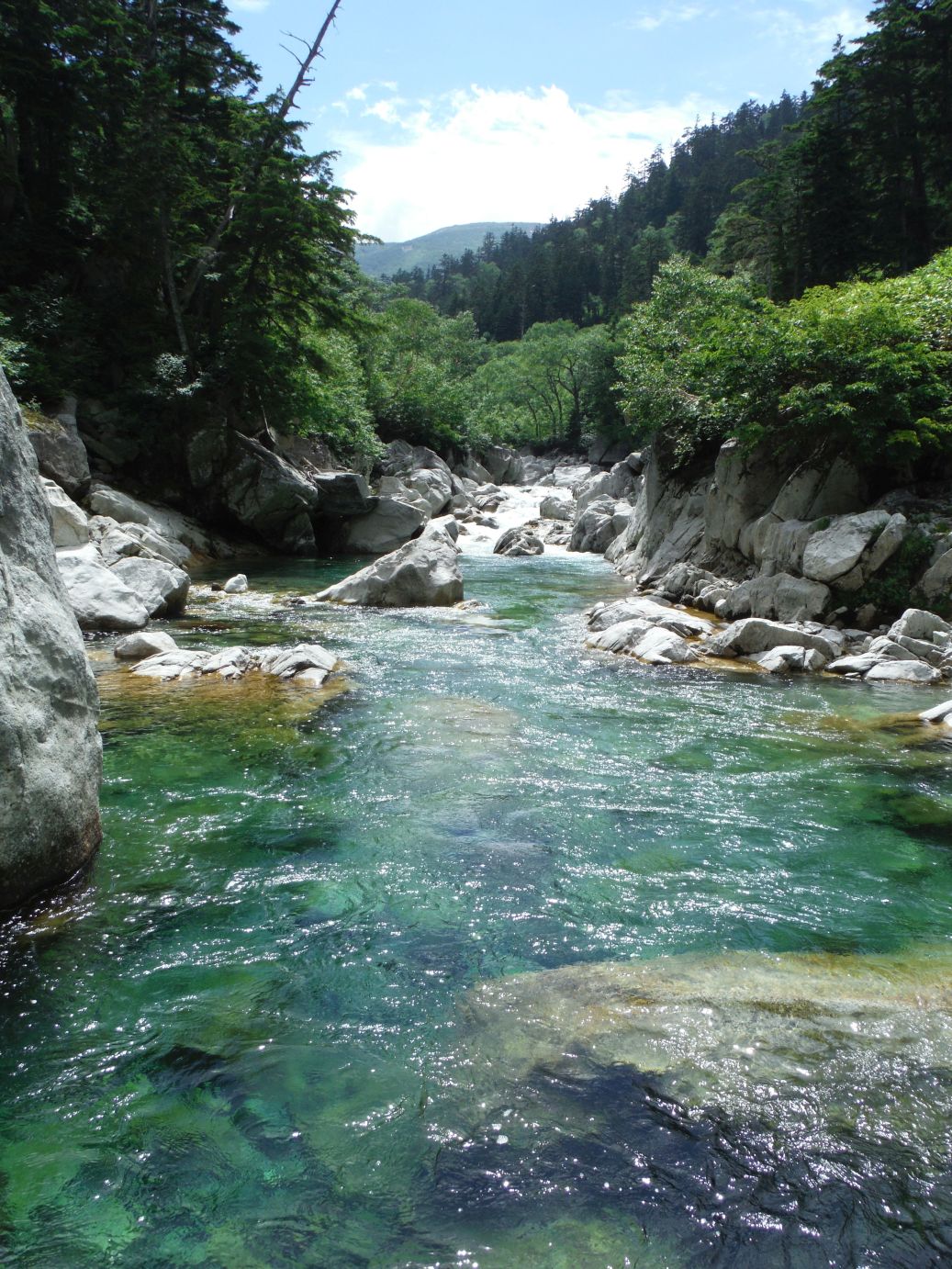 b0172805_9554079.jpg